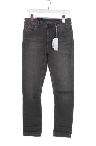 Herren Jeans Blue Fire Co, Größe S, Farbe Grau, Preis 11,86 €