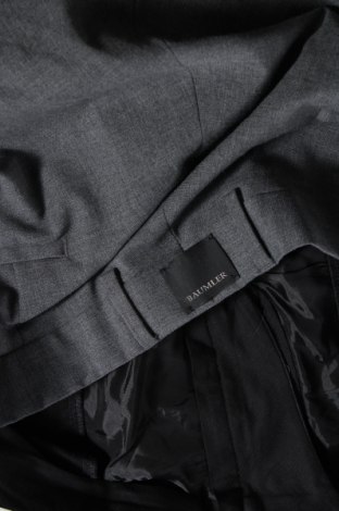 Ανδρικό παντελόνι Baumler, Μέγεθος M, Χρώμα Γκρί, Τιμή 7,35 €