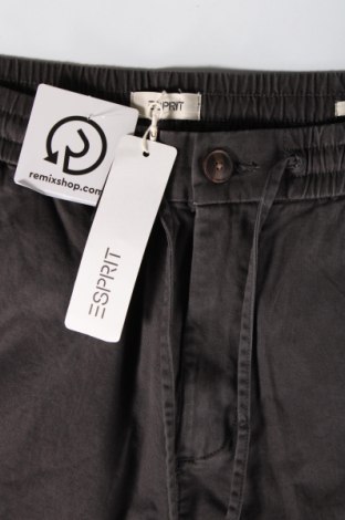 Мъжки панталон Esprit, Размер L, Цвят Сив, Цена 13,92 лв.