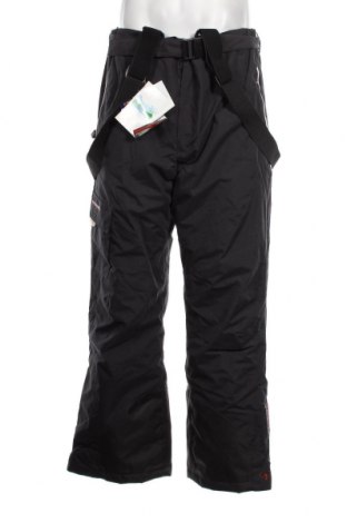 Мъжки панталон за зимни спортове, Размер L, Цвят Сив, Цена 25,20 лв.