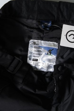 Pánske nohavice pre zimné sporty  Crane, Veľkosť L, Farba Čierna, Cena  14,89 €