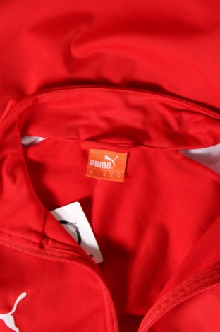 Ανδρική αθλητική ζακέτα PUMA, Μέγεθος M, Χρώμα Κόκκινο, Τιμή 13,36 €