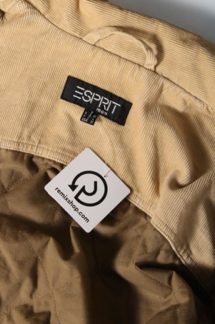 Pánska bunda  Esprit, Veľkosť M, Farba Béžová, Cena  14,17 €