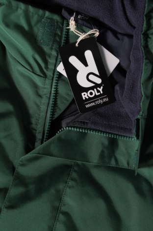 Мъжко яке Roly, Размер XL, Цвят Зелен, Цена 45,57 лв.