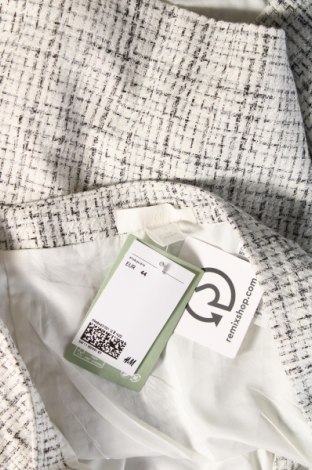 Φούστα H&M, Μέγεθος XL, Χρώμα Πολύχρωμο, Τιμή 4,27 €