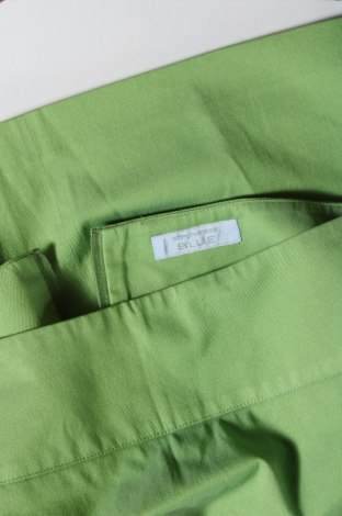 Φούστα Strenesse Blue, Μέγεθος S, Χρώμα Πράσινο, Τιμή 3,62 €