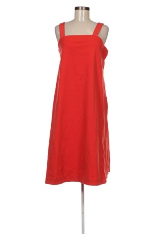 Kleid COS, Größe XS, Farbe Rot, Preis 90,21 €