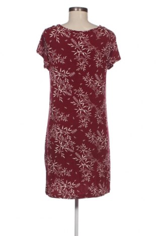 Kleid Etam, Größe L, Farbe Mehrfarbig, Preis 26,29 €