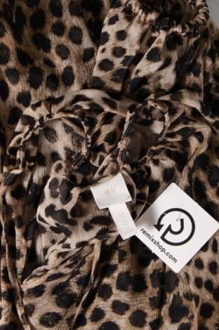 Kleid H&M, Größe XS, Farbe Mehrfarbig, Preis 14,84 €