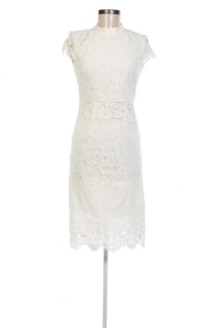 Φόρεμα Ivy & Oak, Μέγεθος XS, Χρώμα Λευκό, Τιμή 66,80 €