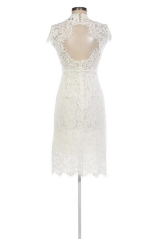 Φόρεμα Ivy & Oak, Μέγεθος XS, Χρώμα Λευκό, Τιμή 66,80 €