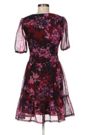 Kleid Melrose, Größe M, Farbe Mehrfarbig, Preis € 23,71