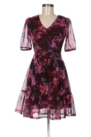 Kleid Melrose, Größe XS, Farbe Mehrfarbig, Preis 4,98 €