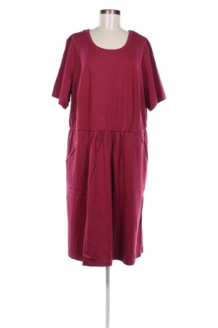 Kleid Sheego, Größe 3XL, Farbe Lila, Preis 28,39 €