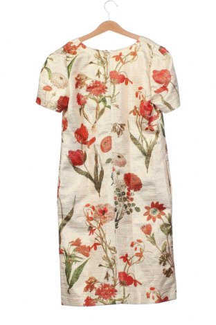 Kleid Sinequanone, Größe XS, Farbe Mehrfarbig, Preis 57,83 €