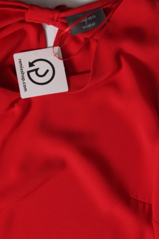 Šaty  Yessica, Veľkosť XL, Farba Červená, Cena  29,68 €