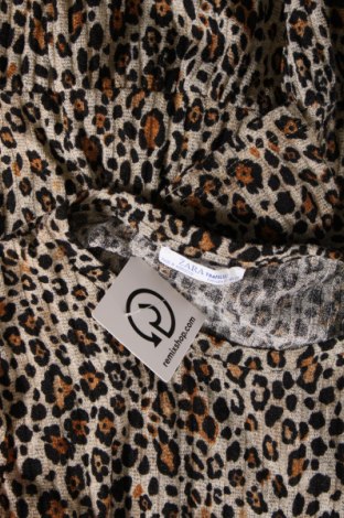 Kleid Zara Trafaluc, Größe S, Farbe Mehrfarbig, Preis € 3,67