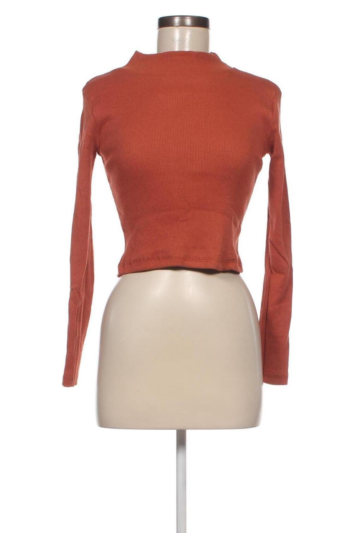 Damen Shirt, Größe M, Farbe Orange, Preis € 15,98