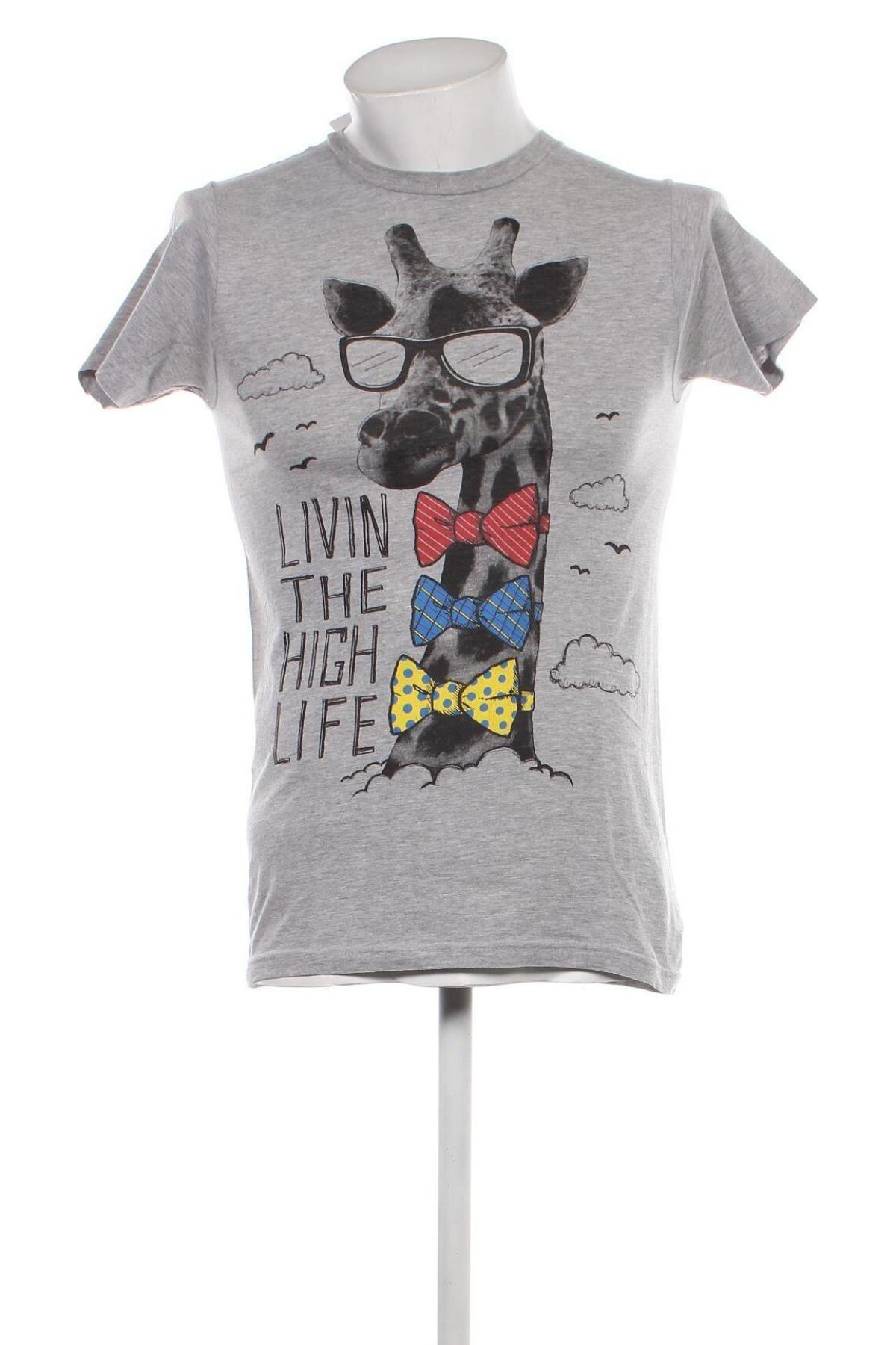 Ανδρικό t-shirt Riot Society, Μέγεθος S, Χρώμα Γκρί, Τιμή 12,63 €