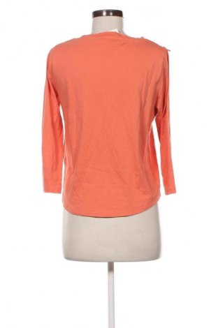 Damen Shirt COS, Größe M, Farbe Rot, Preis € 24,48