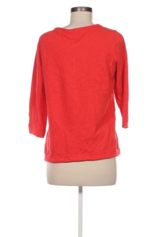 Damen Shirt Cecil, Größe S, Farbe Orange, Preis 9,99 €