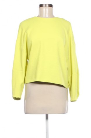 Damen Shirt Drykorn for beautiful people, Größe M, Farbe Grün, Preis € 22,99