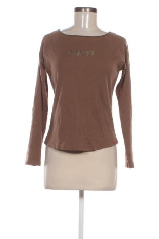 Damen Shirt Esprit, Größe L, Farbe Braun, Preis 11,99 €