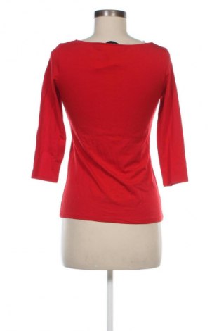 Damen Shirt Hallhuber, Größe S, Farbe Rot, Preis € 10,99