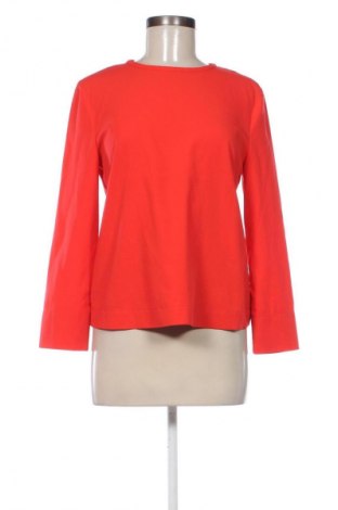 Damen Shirt Hallhuber, Größe M, Farbe Rot, Preis € 10,99