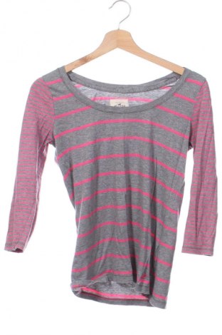 Damen Shirt Hollister, Größe XS, Farbe Mehrfarbig, Preis € 17,39