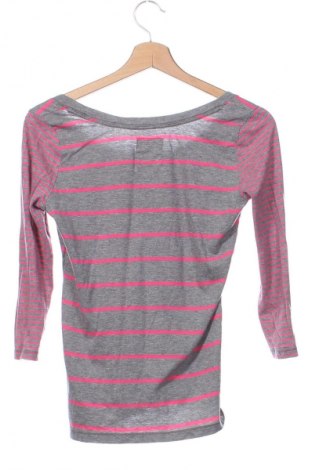 Damen Shirt Hollister, Größe XS, Farbe Mehrfarbig, Preis € 17,39