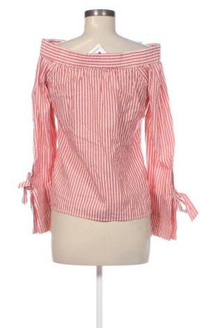 Damen Shirt Ivy & Oak, Größe S, Farbe Mehrfarbig, Preis € 19,99