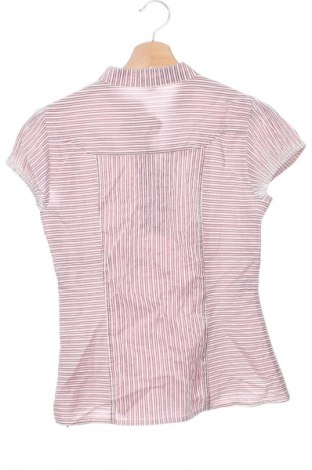 Damen Shirt Mango, Größe L, Farbe Mehrfarbig, Preis € 13,80