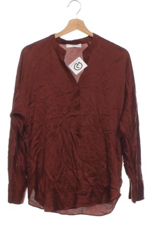 Damen Shirt Mango, Größe XS, Farbe Braun, Preis € 13,80