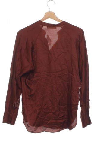 Damen Shirt Mango, Größe XS, Farbe Braun, Preis € 13,80