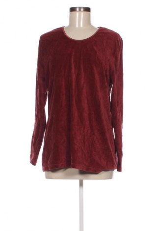 Damen Shirt TCM, Größe XL, Farbe Braun, Preis € 5,99