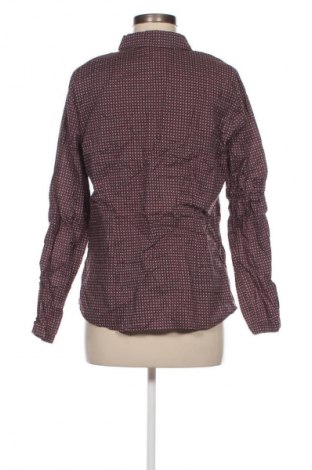 Damen Shirt Taifun, Größe L, Farbe Mehrfarbig, Preis 29,99 €