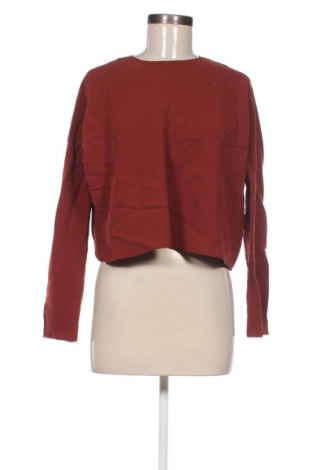 Damen Shirt Zara, Größe L, Farbe Braun, Preis € 18,99