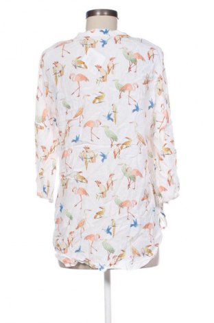 Damen Shirt Zara, Größe S, Farbe Mehrfarbig, Preis € 6,99