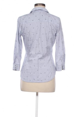 Damen Shirt Zara, Größe M, Farbe Mehrfarbig, Preis € 13,84