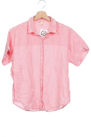 Damenbluse H&M L.O.G.G., Größe XXS, Farbe Mehrfarbig, Preis € 12,99
