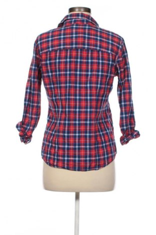 Damenbluse Hollister, Größe L, Farbe Mehrfarbig, Preis 11,99 €