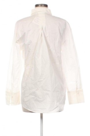Damenbluse Tom Tailor, Größe M, Farbe Weiß, Preis 18,99 €