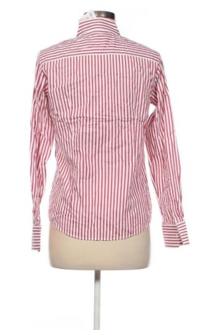 Damska koszula Tommy Hilfiger, Rozmiar S, Kolor Kolorowy, Cena 143,99 zł