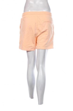 Damen Shorts Malelions, Größe M, Farbe Rosa, Preis € 16,99