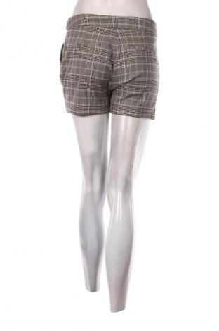 Damen Shorts Morgan, Größe S, Farbe Mehrfarbig, Preis € 12,99