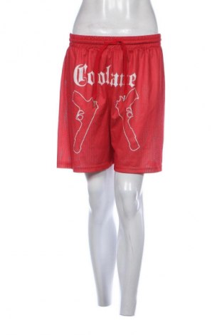 Pantaloni scurți de femei SHEIN, Mărime M, Culoare Roșu, Preț 10,99 Lei