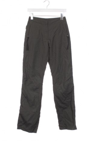 Damenhose Gotcha, Größe XS, Farbe Grün, Preis € 47,62