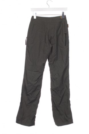 Damenhose Gotcha, Größe XS, Farbe Grün, Preis € 47,62