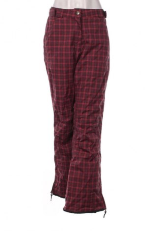 Дамски панталон за зимни спортове Crane, Размер M, Цвят Многоцветен, Цена 63,99 лв.